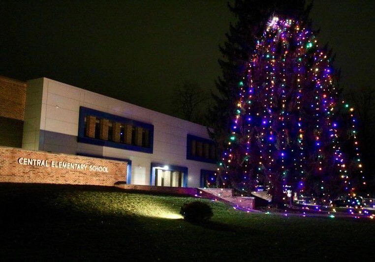 christmas lights on a tree outside